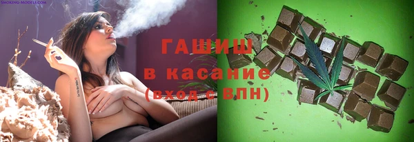 гидра Карпинск