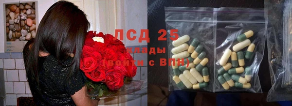 гидра Карпинск