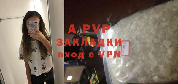 гидра Карпинск