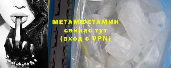 гидра Карпинск