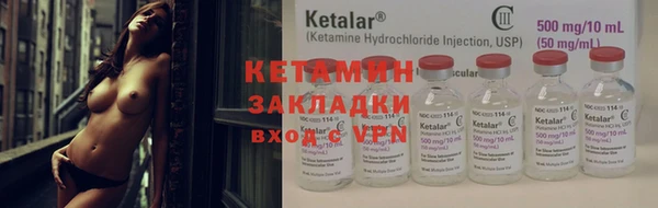 гидра Карпинск