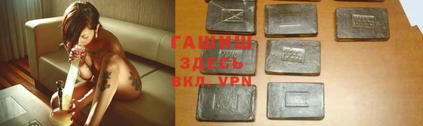 гидра Карпинск