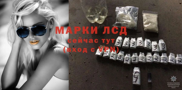 гидра Карпинск