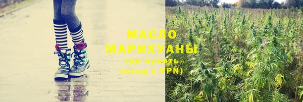 гидра Карпинск