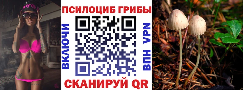 Галлюциногенные грибы мухоморы  Купить закладки  Карачаевск 